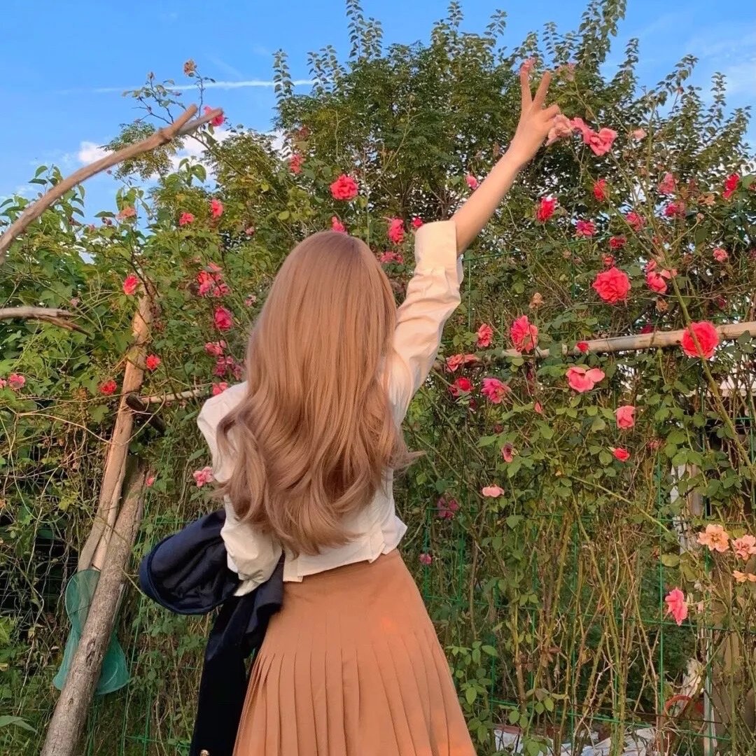 铳梦:战斗天使